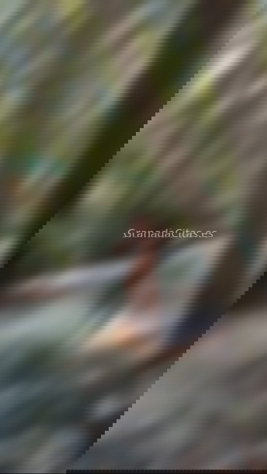 Vanesa, mujer trans divertida. 632018148. Citas en GRANADA, GRANADA. www.granadacitas.es.