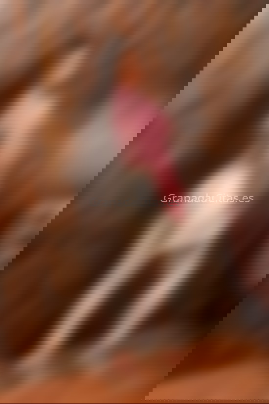 Shaira, chica trans carismática. 663141929. Citas en GRANADA, GRANADA. www.granadacitas.es.